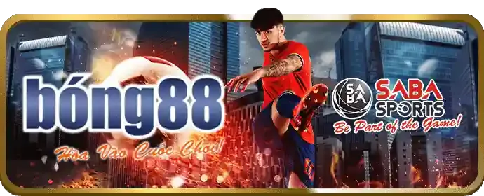 Hoàn Trả Hàng Ngày/Tuần nbet88 nhà cái